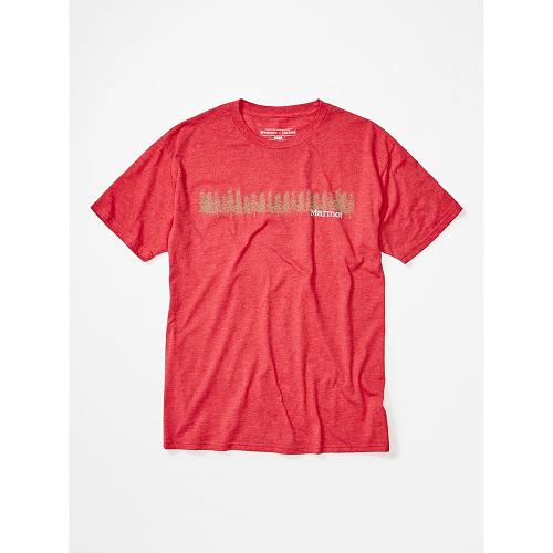 Marmot Clothes Red NZ - Forest T-Shirts Mens NZ7506923